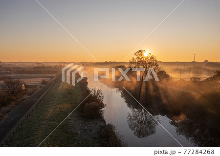 「埼玉県」見沼田んぼの朝霧の風景 77284268