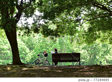 木陰の一時 77284695