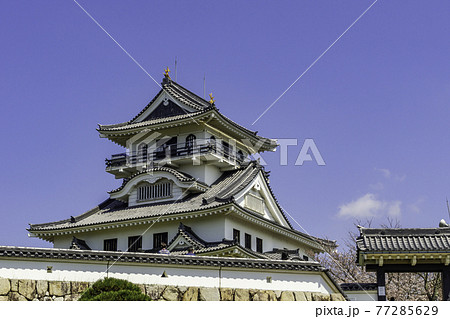 河原城 鳥取県鳥取市 河原城 鳥取県鳥取市 77285629
