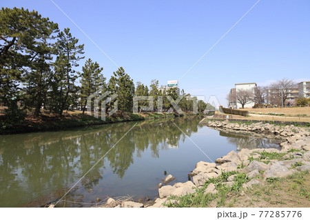 綾瀬川と草加松並木の風景 綾瀬川と草加松並木の風景 77285776