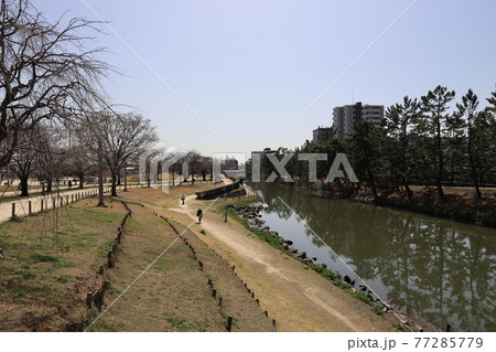 綾瀬川と草加松並木の風景 77285779