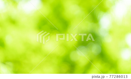 玉ボケの背景 玉ボケの背景 77286013