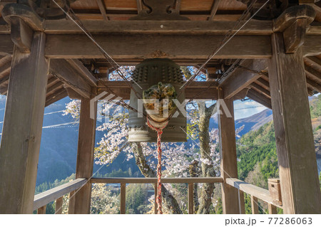 信濃比叡 信濃比叡 77286063