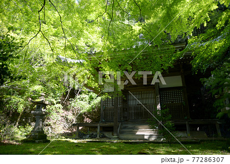新緑の金蔵寺　開山堂　京都市大原野 77286307
