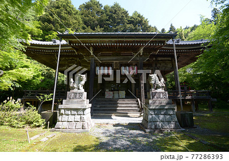 新緑の金蔵寺　本堂　京都市大原野 77286393