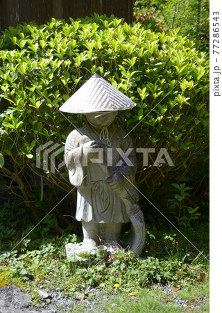 新緑の金蔵寺 庫裡前の小僧 京都市大原野 新緑の金蔵寺 庫裡前の小僧 京都市大原野 77286543