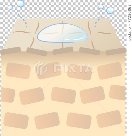 具有低穿透力的皮膚橫截面 77286863