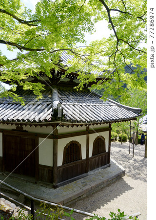 新緑の善峯寺　経堂　京都市西京区 77286974