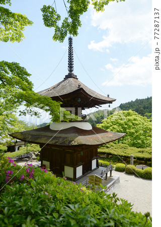 新緑の善峯寺 多宝塔 京都市西京区 新緑の善峯寺 多宝塔 京都市西京区 77287137