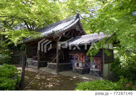 新緑の善峯寺 鎮守社 京都市西京区 新緑の善峯寺 鎮守社 京都市西京区 77287140