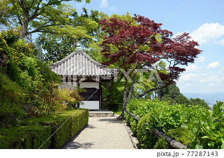新緑の善峯寺 開山堂 京都市西京区 新緑の善峯寺 開山堂 京都市西京区 77287143