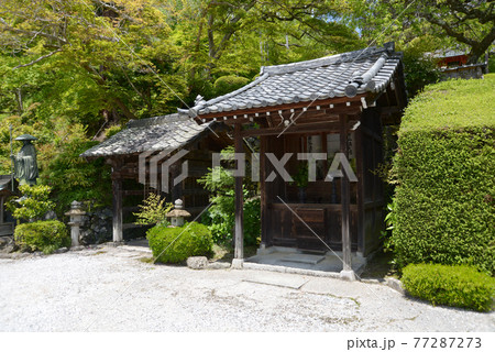 新緑の善峯寺 閼伽井と納札所 京都市西京区 新緑の善峯寺 閼伽井と納札所 京都市西京区 77287273