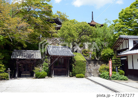 新緑の善峯寺　境内　京都市西京区 77287277