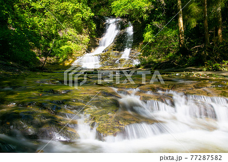 新緑の養老渓谷 新緑の養老渓谷 77287582