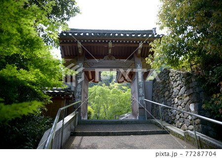 新緑の善峯寺　東門　京都市西京区 77287704