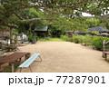 小さな広場(遊具なし) 77287901