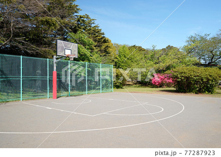 新緑とツツジ咲く、千葉県船橋市、運動公園、バスケットゴール 77287923