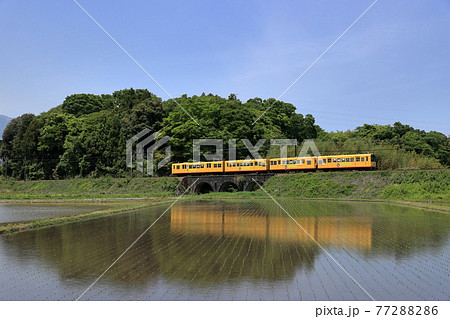 めがね橋と三岐鉄道北勢線 めがね橋と三岐鉄道北勢線 77288286