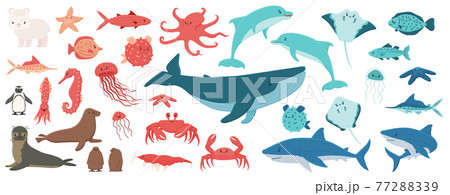 Big set of cartoon isolated sea ocean north animals. Doodle, vector whale, dolphin, shark, stingray, jellyfish, fish, stars, crab, king Penguin chick, octopus, fur seal, polar bear cub, flat style 77288339