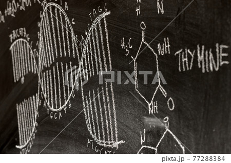 Dark black chalk board with DNA drawn on it 77288384