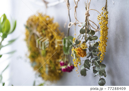ミモザのリースとドライフラワー 77288409