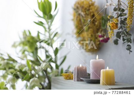 クリスマスローズとキャンドル ドライフラワー クリスマスローズとキャンドル ドライフラワー 77288461