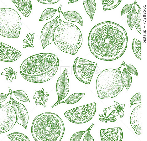 Lemons, leaves and flowers seamless pattern. Fresh summer green citrus background. Vector illustration 77288501