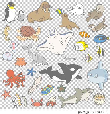 海洋生物插圖集 77289865
