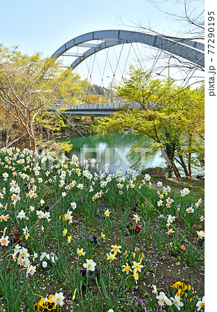秩父散歩:新寄居橋 秩父散歩:新寄居橋 77290195