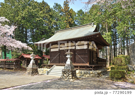 秩父散歩：白髪神社 77290199