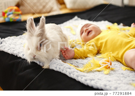 Toddler in yellow clothes before Easter Toddler in yellow clothes before Easter 77291884