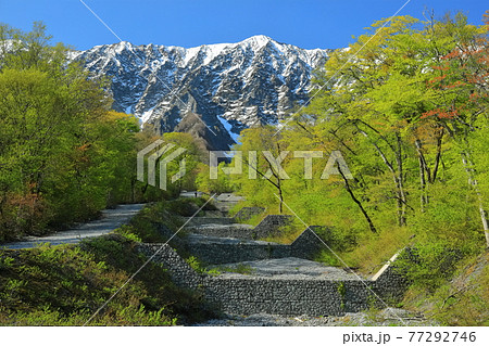 【鳥取県】三の沢から見た冠雪した大山と新緑　 77292746