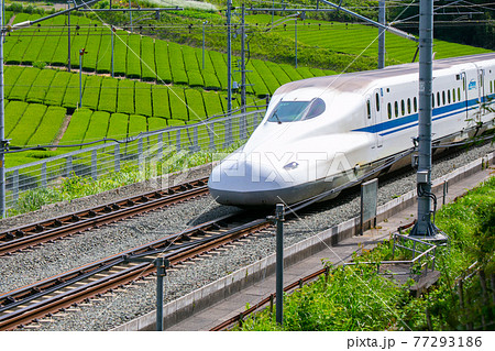 東海道新幹線・静岡県菊川 77293186
