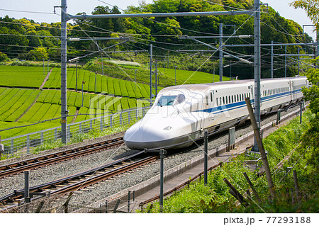 東海道新幹線・静岡県菊川 77293188