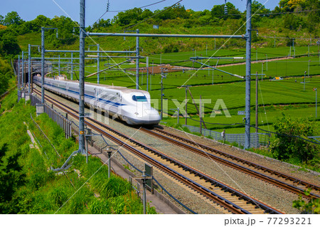 東海道新幹線・静岡県菊川 東海道新幹線・静岡県菊川 77293221