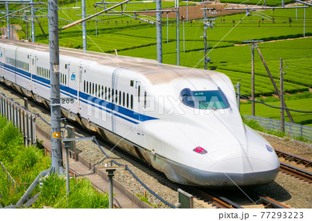 東海道新幹線・静岡県菊川 東海道新幹線・静岡県菊川 77293223