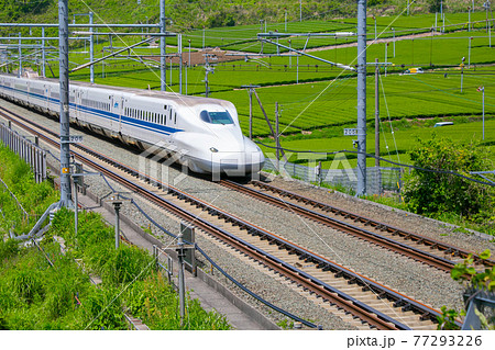 東海道新幹線・静岡県菊川 東海道新幹線・静岡県菊川 77293226