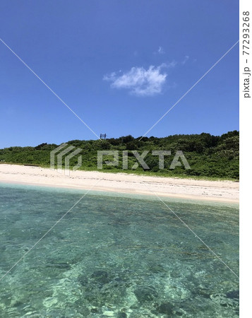 水面から見た沖縄離島の海 77293268