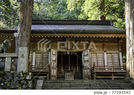 若桜宿　若桜神社　拝殿　鳥取県八頭郡若桜町 77293542