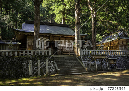 若桜宿　若桜神社　拝殿　鳥取県八頭郡若桜町 77293545