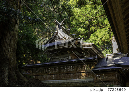若桜宿　若桜神社　本殿　鳥取県八頭郡若桜町 77293649