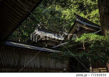 若桜宿　若桜神社　本殿　鳥取県八頭郡若狭町 77293650