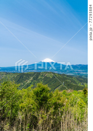 矢倉岳(箱根)の山頂から見た富士山 矢倉岳(箱根)の山頂から見た富士山 77293884