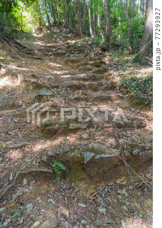 多峰主山にある子ども用の鎖場(奥武蔵自然公園) 多峰主山にある子ども用の鎖場(奥武蔵自然公園) 77293927
