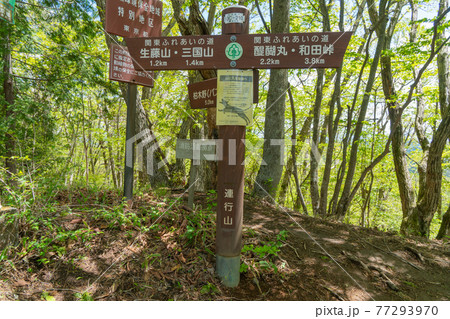 連行峰の山頂（生藤山の尾根道） 77293970
