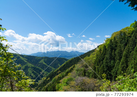 生藤山の登山道（和田バス停〜醍醐丸・和田分岐）から見た景色 77293974