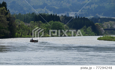 山形県最上川急流下りの風景 77294248