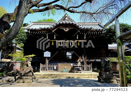東京都文京区　白山神社 77294523