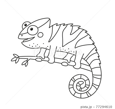 Funny Chameleon Lizard Character For Kid のイラスト素材