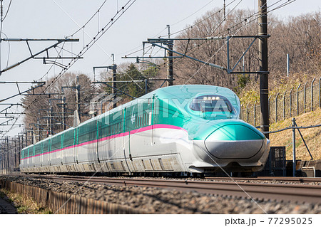 東北新幹線・E5系・やまびこ 東北新幹線・E5系・やまびこ 77295025
